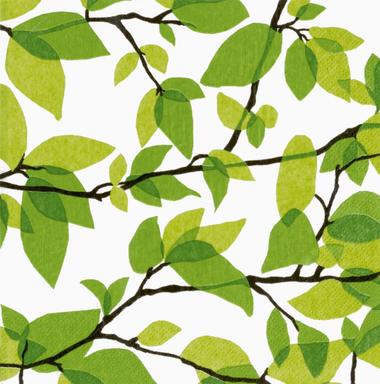 Salvrätik Finlayson Juuni 33cm