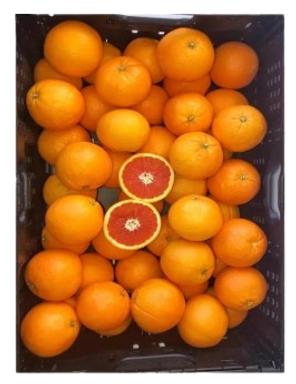 Apelsin Cara Cara I klass