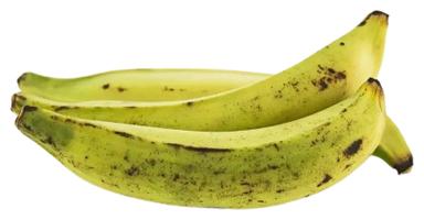 Jahubanaan