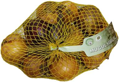 Mugulsibul 1kg võrgus