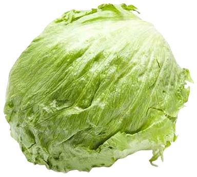 Jääsalat,I klass