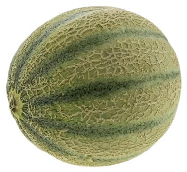 Melon Canatloupe