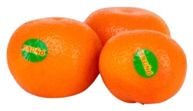 Mandariin Bruno Tango I klass