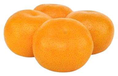 Mandariin Nadorcott I klass