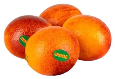 Veriapelsin Bruno Sanguinelli I klass