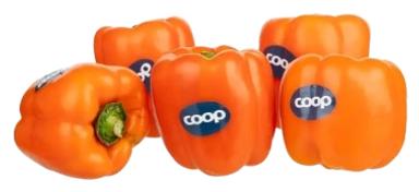 Oranž paprika, I klass