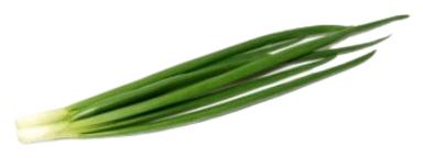 Roheline sibul pakitud