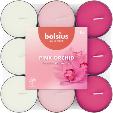 18 lõhna-teeküünalt bolsius 3,5h orhidee