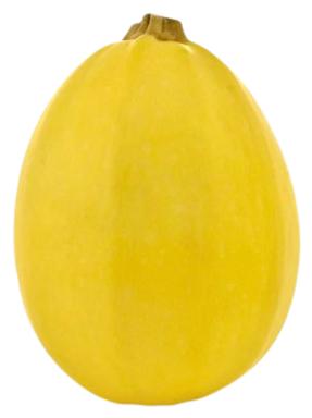 Mahe muskaatkõrvits