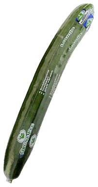 Eesti pikk  kurk  kiles