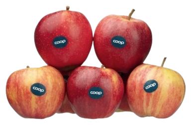 Coop Õun Roual Gala I klass