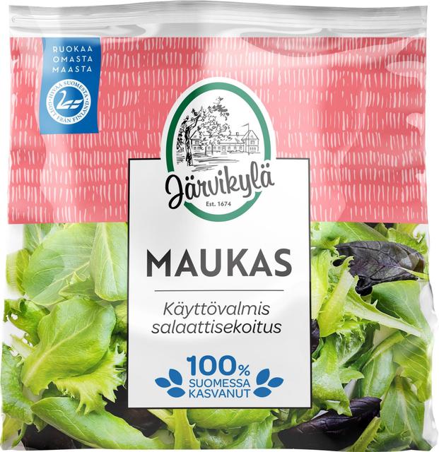 Järvikylä 75g Maukas, salaattisekoitus