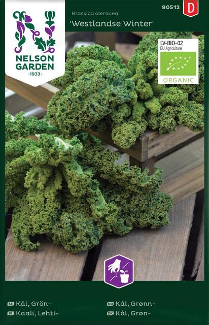 90512 kale westlandse winter,organic