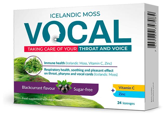 Vocal Blackcurrant imemistabletid 24 tk