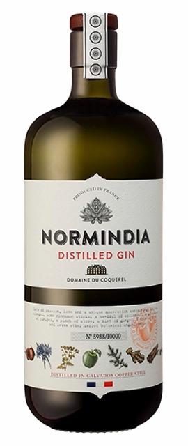 Normindia Gin 41,4%vol 700ml