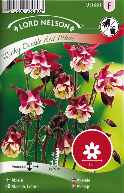 93080 aquilegia winky red-white