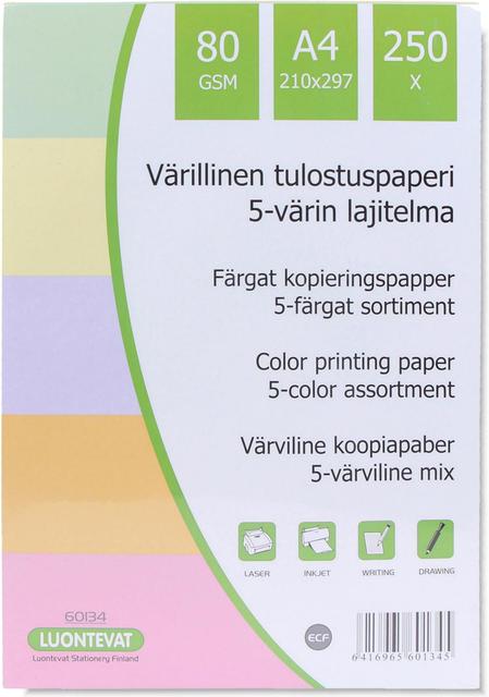 Teehoo värillinen tulostuspaperi A4 250kpl 5 väriä