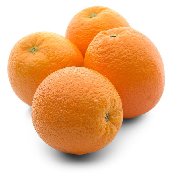 Appelsiini Valencia Late Egypti