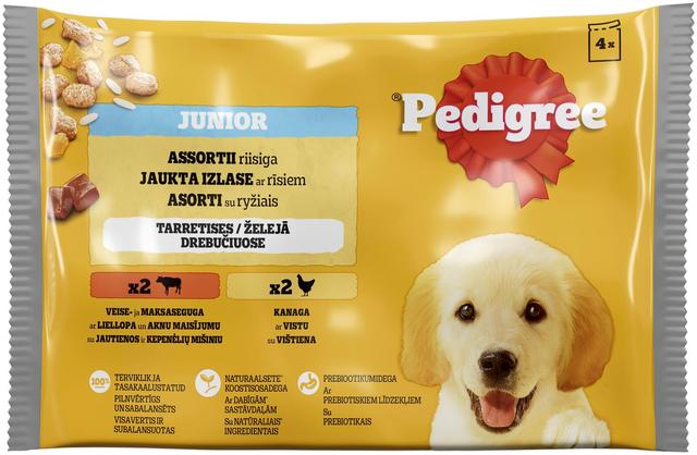 Koeraeine PEDIGREE Junior 4-pakk kutsikatele, 4x100 g