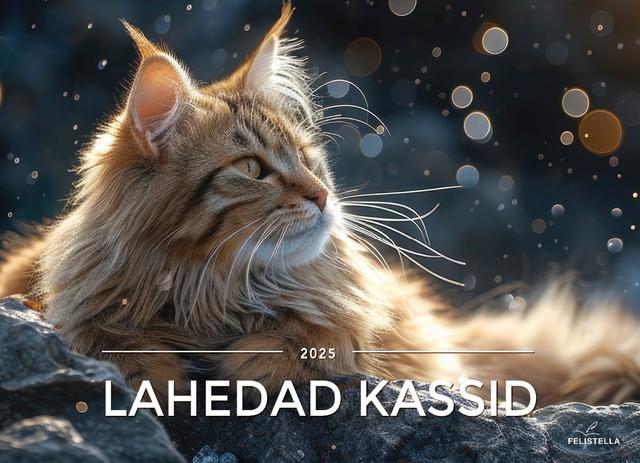 Lahedad kassid 2025