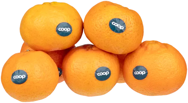 Klementiini