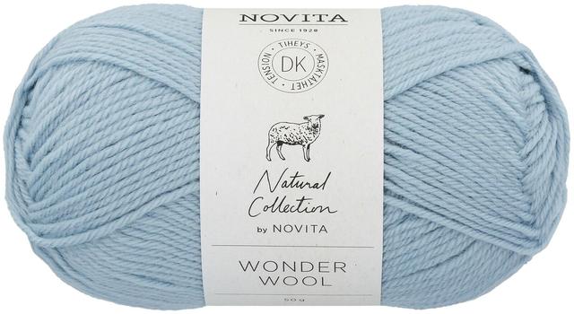 Novita lanka Wonder Wool DK 50 g sielu 113