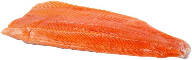 Kalaneuvos Kirjolohifilee ruodoton