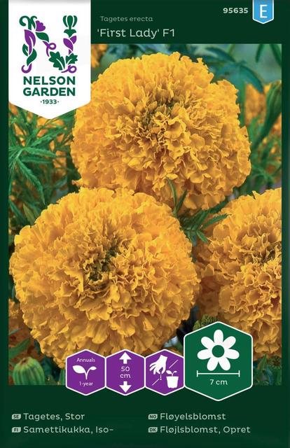 95635 tagetes inca gold f1