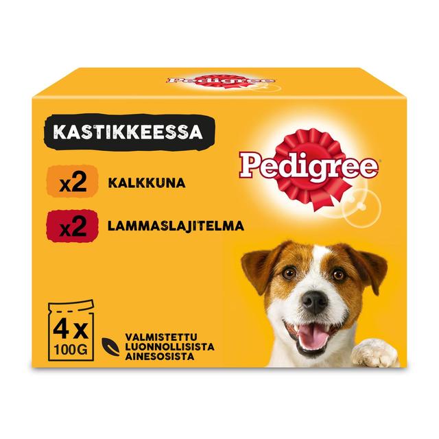 Pedigree 4x100g Adult kastikelajitelma