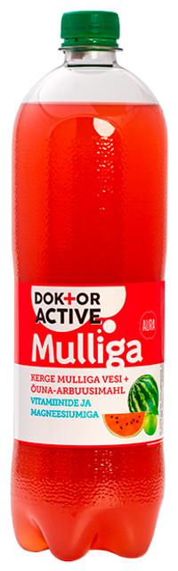 Dr. Active mulliga õuna-arbuusi 1L