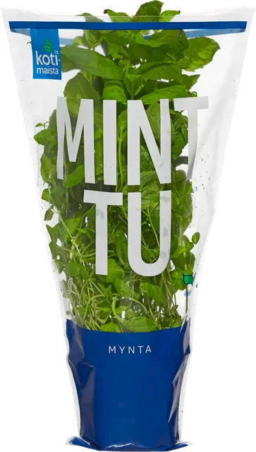 Kotimaista minttu