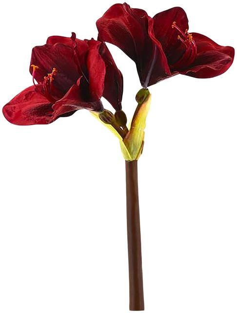 AmandaB amaryllis punainen 50 cm