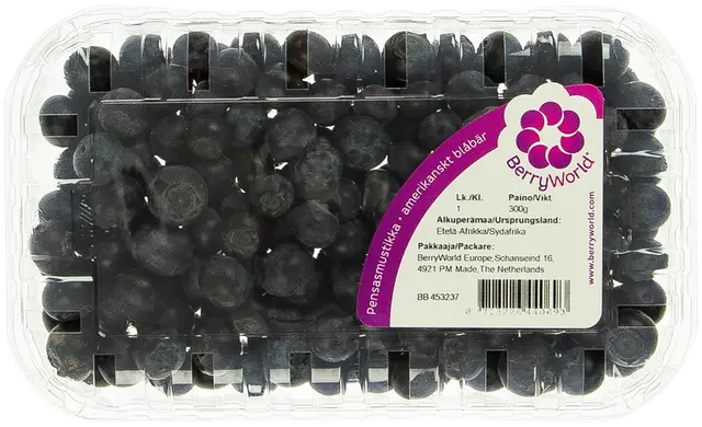 Pensasmustikka 300g
