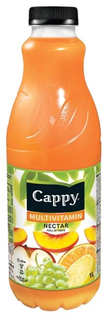 Cappy multimahl 1L