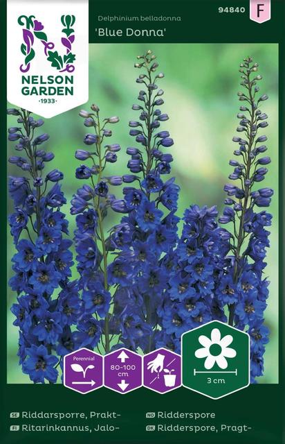 94840 delphinium blue donna