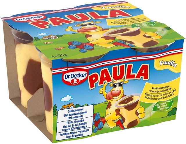 Dr. Oetker PAULA Vaniljavanukas ja suklaatäplät 4x125 g