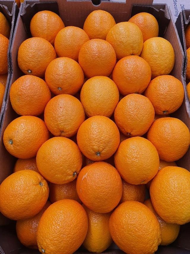 Appelsiini Valencia
