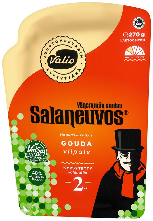 Valio Salaneuvos® e270 g viipale ValSa®