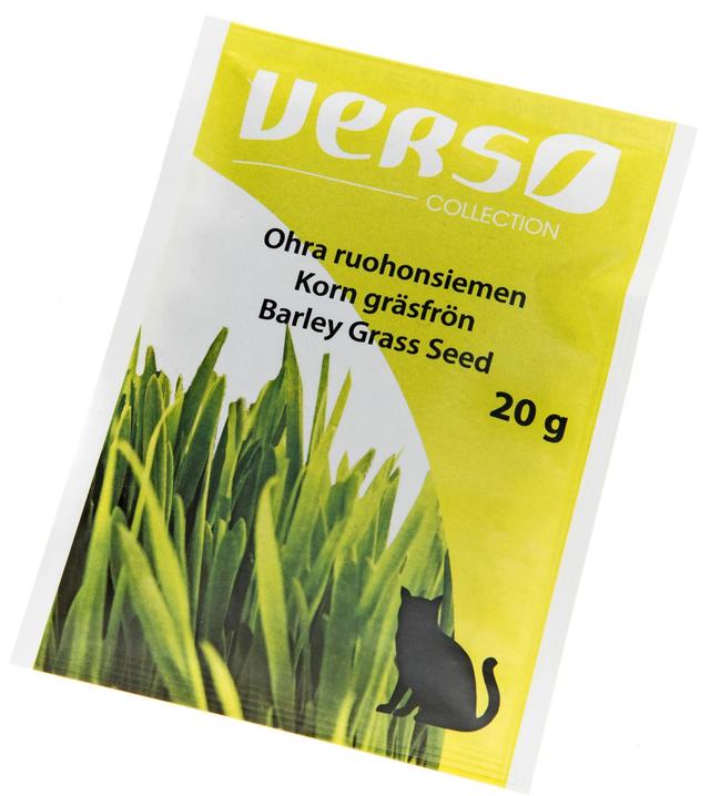 Verso Ohraruoho 20 g display
