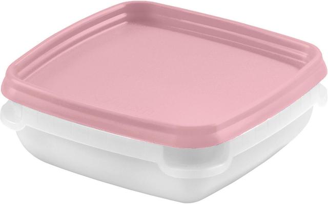 GastroMax 6 x 0,3 L roosa pakastusrasia