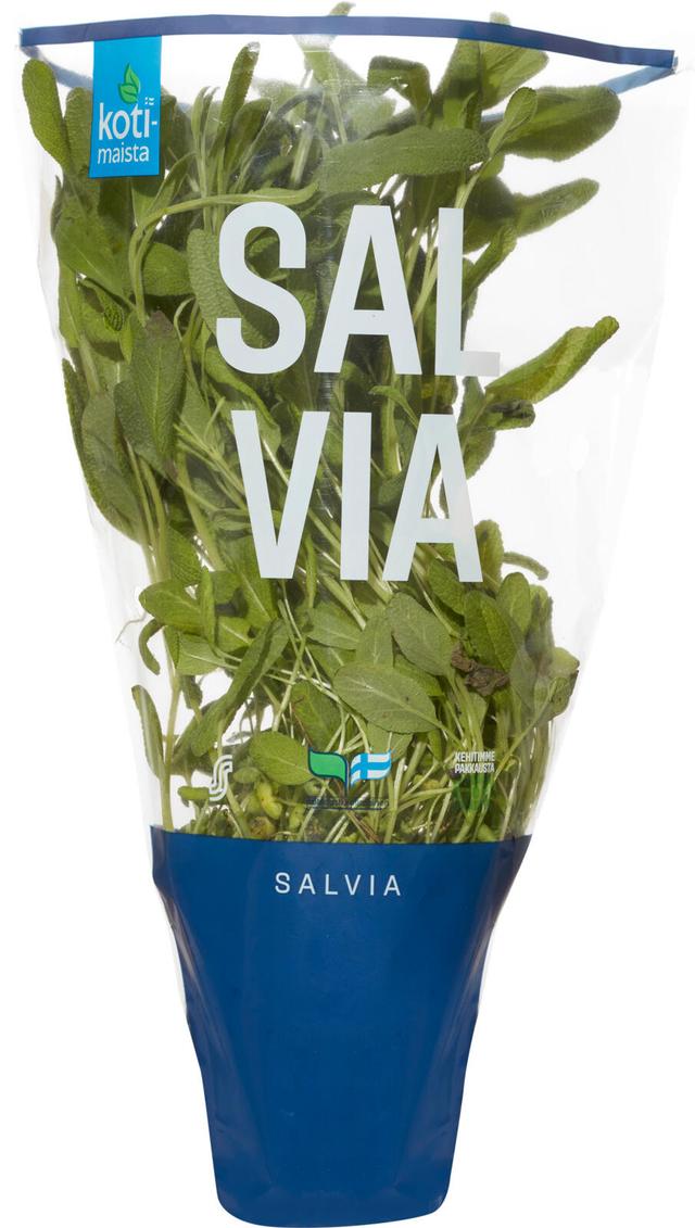 Kotimaista salvia