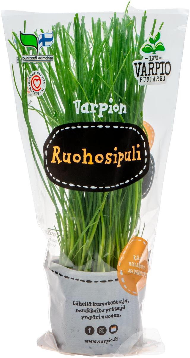 Varpio Ruohosipuli