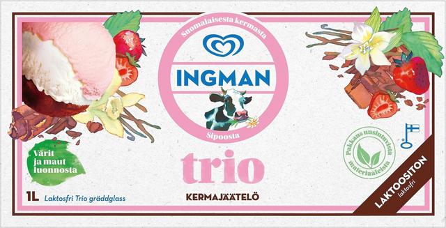 Ingman jäätelöpakkaus Trio 1000ml/480g