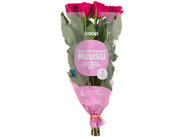 COOP Reilu kauppa Roosa nauha ruusu, lajitelma, 7 oksaa, 40cm