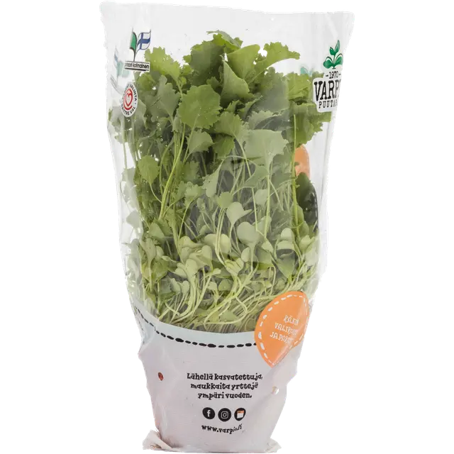 Varpion Puutarha lehtikaali 180g