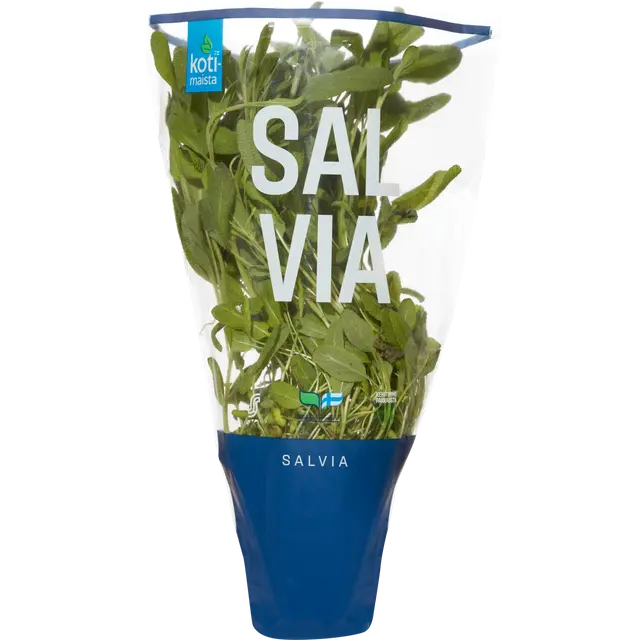 Kotimaista salvia