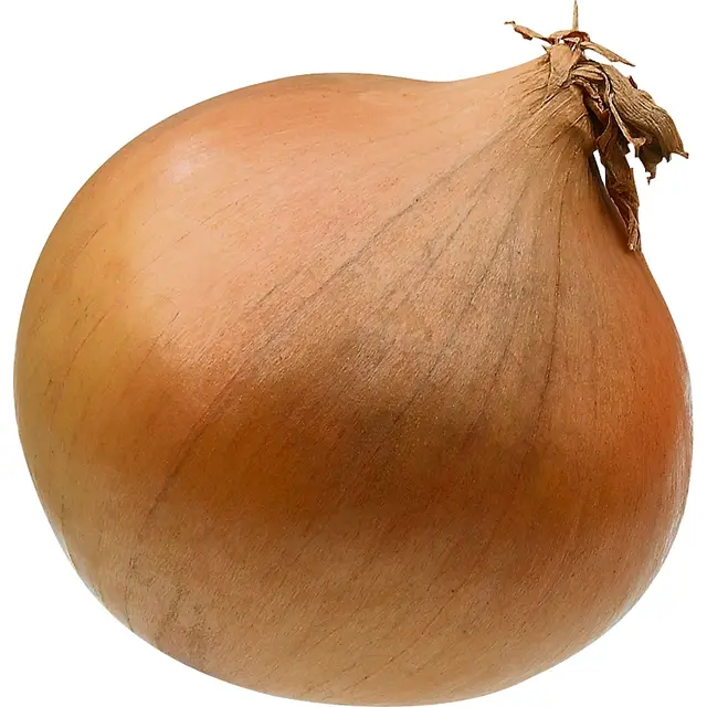 Sipuli