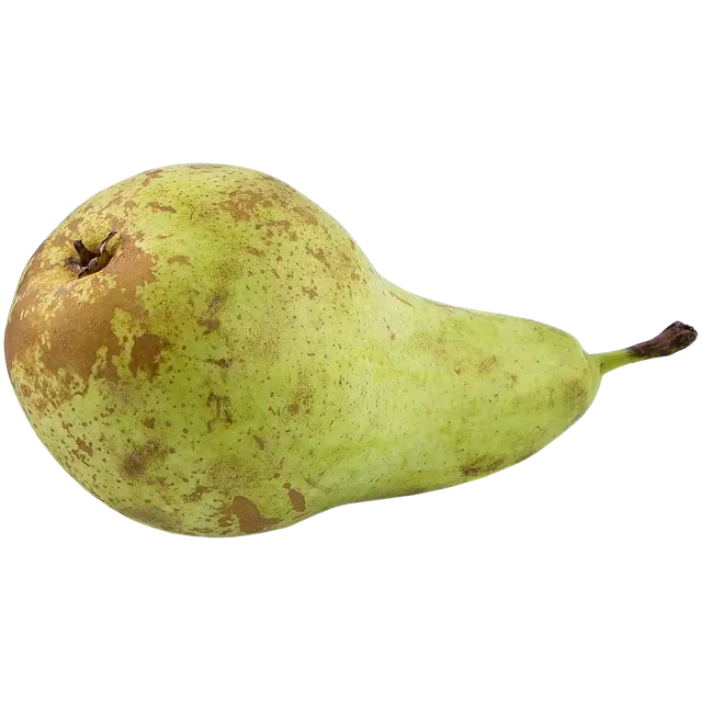 Päärynä I Conference NED