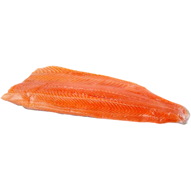 Kalaneuvos Kirjolohifilee ruodoton