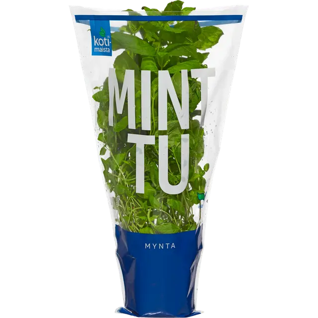 Kotimaista minttu